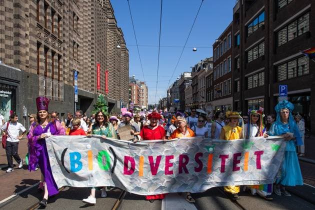 AMSTERDAM - Participants in the 13th edition of the Pride Walk are walking through the center of Amsterdam. With the walk, they are calling attention to equal rights for LGBTQ+ people worldwide. DINGENA MOL ANP netherlands out - belgium out  Copyright: xx x564254319x originalFilename: 564254319.jpg