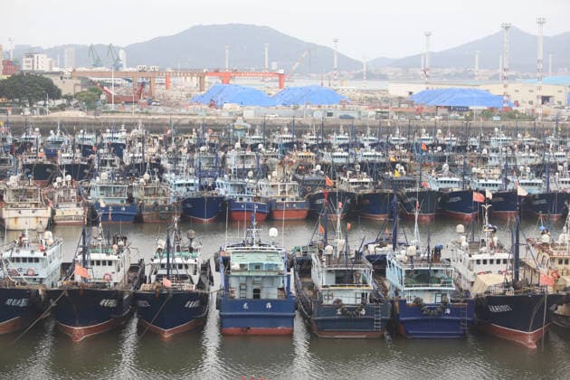 (260725) -- BEIJING, July 25, 2026 -- Fishing boats take shelter from the typhoon at a port in Xiamen, southeast China s Fujian Province, on July 25, 2026. China s State Flood Control and Drought Relief Headquarters on Saturday raised its emergency response for flood and typhoon control in Guangdong Province to Level III as Typhoon Noul intensified, while activating a Level IV flood emergency response for Jiangxi and Hunan provinces. Typhoon Noul, the 12th typhoon of the year, is expected to make landfall along the coast between Hong Kong and Huilai in Guangdong Province between Saturday evening and Sunday morning. (Photo by Xinhua) CHINA-TYPHOON NOUL-FISHING BOAT-SHELTERING (CN) ZengxDemeng 