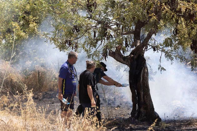 The UME Has Been Activated Due to a Wildfire with Multiple Hotspots in La Vall d Uixó, Castellón Several people working to extinguish a wildfire on July 25, 2026, in Vall d’Uixó, Castellón, Valencian Community, Spain. Firefighters from Castellón have been working since Saturday morning to contain a wildfire that broke out in the municipality of La Vall d’Uixó; the fire is currently spreading rapidly, which is why the Military Emergency Unit (UME) has been called in, and Civil Protection has ordered the evacuation of the town of La Vilavella. JULY 25, 2026 FOREST FIRE Carme Ripollé Vall d’Uixó, Castellón, Valencian Community Vall d’Uixó, Castellón, Community of Spain  Copyright: xCarmexRipollÃ sx 7687377