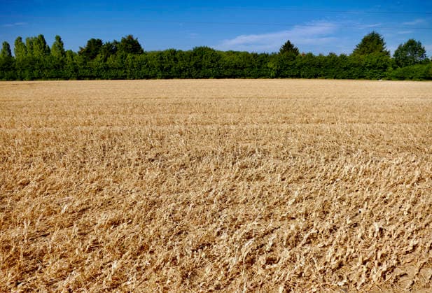 Parts of the UK have been without measurable rainfall for up to 36 consecutive days during the current dry spell. Dried fields after the prolonged hot spell., Credit:Geoffrey Swaine Geoff Swaine - B4563 Avalon UK, Oxfordshire, Dunsden Green  Copyright: xGeoffreyxSwainex xGeoffxSwainex-xB4563x xAvalonx 1118553163