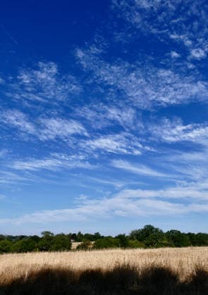 Parts of the UK have been without measurable rainfall for up to 36 consecutive days during the current dry spell. Dried fields after the prolonged hot spell. The Met Office has placed eight major regions including East Anglia, Devon, Cornwall, and the West Midlands under prolonged dry weather status, while areas of Wales have entered official drought conditions., Credit:Geoffrey Swaine Geoff Swaine - B4563 Avalon UK, Oxfordshire, Dunsden Green  Copyright: xGeoffreyxSwainex xGeoffxSwainex-xB4563x xAvalonx 1118553654