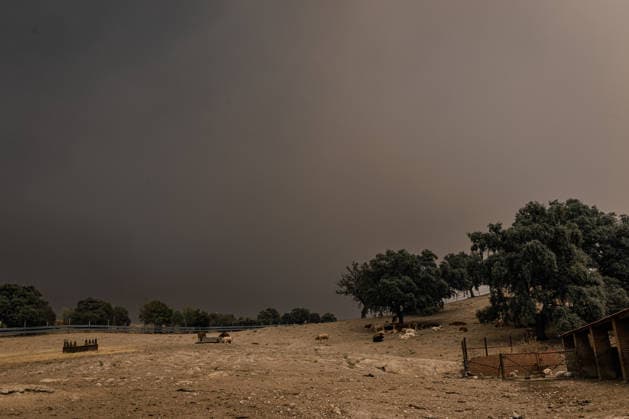 The Burgohondo wildfire forces the evacuation of six towns in the Tiétar Valley as the flames advance. Smoke fills the sky due to the Burgohondo wildfire on July 25, 2026, in Casavieja, Ávila, Castile and León, Spain. The Burgohondo forest fire in Ávila remains active, and its progression has forced authorities to expand protective measures for the population. Emergency services have ordered the preventive evacuation of six towns in the Tiétar Valley as the fire advances and due to the risk posed by the proximity of the flames and smoke. PiedRalaves, La Adrada, Casillas, Sotillo, Santa María del Tiétar, and Navahondilla July 25, 2026 FOREST FIRE Carlos Lujá Casavieja, Ávila, Castile and Leo Casavieja, Ávila, Castile and Leo Spain  Copyright: xCarlosxLujanx 7687423
