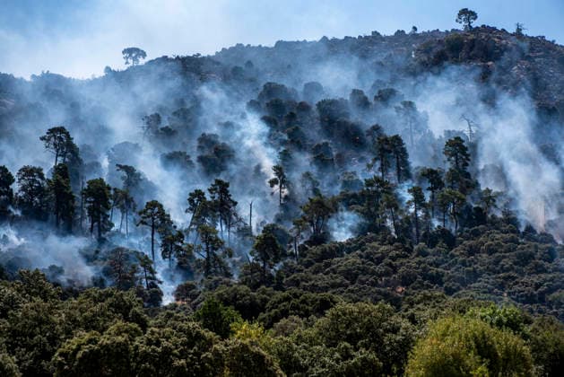 NASA will assess the damage caused by the fires at its complex in Robledo de Chavela, Madrid, once it is safe to do so. Burning trees, July 25, 2026, in Robledo de Chavela, Madrid, Spain. NASA has stated that it will assess potential damage to the Madrid Deep Space Communications Complex (MDSCC), in Robledo de Chavela, Madrid, once it is safe to do so, after the wildfire affecting the area swept through the facilities, which had been evacuated as a precaution. JULY 25, 2026 NASA FIRE ROBLEDO SMOKE NATURE EMbers PAVESA HILL POLLUTION ALMENARA CERRO ROBLEDILLO HOTSPOTS Robledo de Chavela, Madrid Robledo de Chavela, Madrid, Spain  Copyright: xGabrixSolerax 7687431