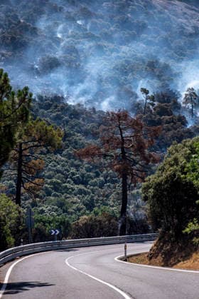 NASA will assess the damage caused by the fires at its complex in Robledo de Chavela, Madrid, once it is safe to do so. Burning trees, July 25, 2026, in Robledo de Chavela, Madrid, Spain. NASA has stated that it will assess potential damage to the Madrid Deep Space Communications Complex (MDSCC), in Robledo de Chavela, Madrid, once it is safe to do so, after the wildfire affecting the area swept through the facilities, which had been evacuated as a precaution. JULY 25, 2026 NASA FIRE ROBLEDO SMOKE NATURE EMbers PAVESA HILL POLLUTION ALMENARA CERRO ROBLEDILLO HOTSPOTS Robledo de Chavela, Madrid Robledo de Chavela, Madrid, Spain  Copyright: xGabrixSolerax 7687434