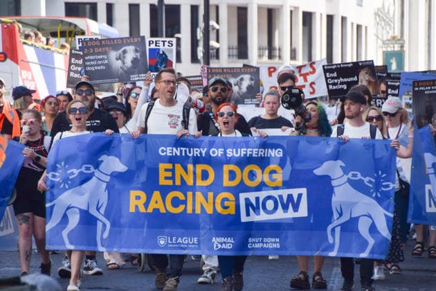 July 25, 2026, London, England, United Kingdom: Protesters march in Fleet Street calling for an end to dog racing. The march dubbed Century of Suffering marks 100 years of greyhound racing in the UK. London United Kingdom - ZUMAv130 20260725_zip_v130_054 Copyright: xVukxValcicx