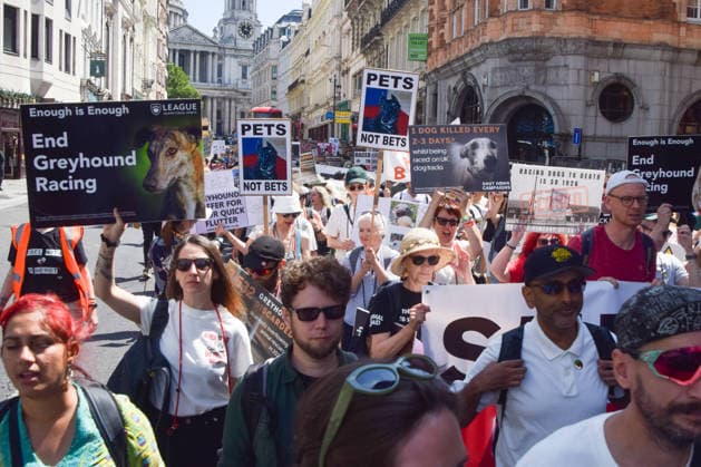 July 25, 2026, London, England, United Kingdom: Protesters march near St Paul s Cathedral, calling for an end to dog racing. The march dubbed Century of Suffering marks 100 years of greyhound racing in the UK. London United Kingdom - ZUMAv130 20260725_zip_v130_055 Copyright: xVukxValcicx