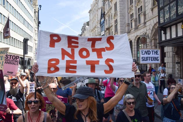July 25, 2026, London, England, United Kingdom: Protesters march in Fleet Street calling for an end to dog racing. The march dubbed Century of Suffering marks 100 years of greyhound racing in the UK. London United Kingdom  - ZUMAv130 20260725_zip_v130_057 Copyright: xVukxValcicx