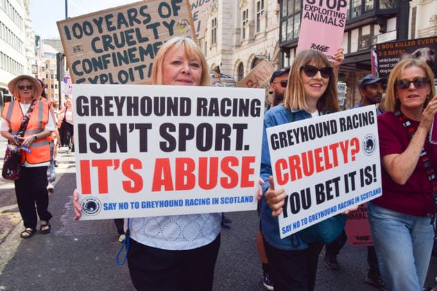 News Bilder des Tages July 25, 2026, London, England, United Kingdom: Protesters march in Fleet Street calling for an end to dog racing. The march dubbed Century of Suffering marks 100 years of greyhound racing in the UK. London United Kingdom - ZUMAv130 20260725_zip_v130_058 Copyright: xVukxValcicx