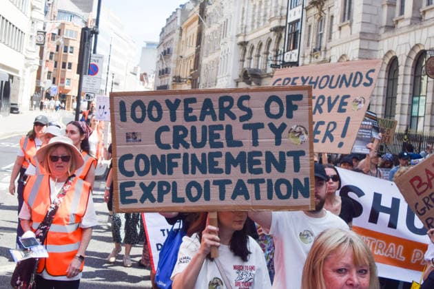 July 25, 2026, London, England, United Kingdom: Protesters march in Fleet Street calling for an end to dog racing. The march dubbed Century of Suffering marks 100 years of greyhound racing in the UK. London United Kingdom - ZUMAv130 20260725_zip_v130_059 Copyright: xVukxValcicx
