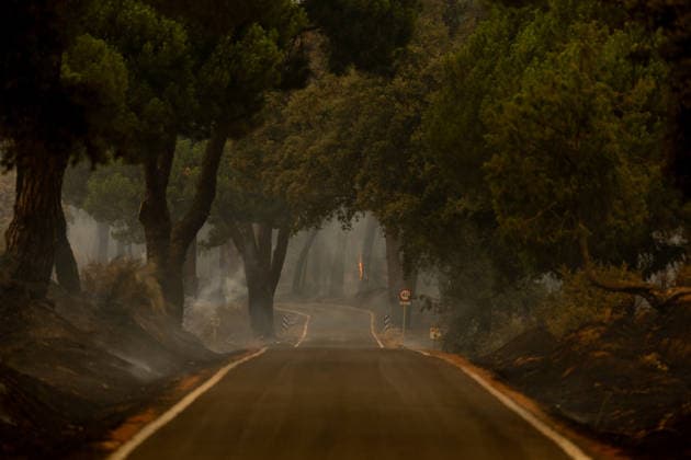 The fire is spreading slowly at night and has lost some intensity, but winds are expected to pick up this morning. View of the wildfire, July 25, 2026, in San Martín de Valdeiglesias, Madrid, Spain. Overnight, the change in weather conditions—with less wind, higher humidity, and cooler temperatures—has helped, although the fire remains active. The authorities’ priority is to prevent the fire from reaching El Escorial or merging with the one affecting the Burgohondo area, in Ávila. JULY 25, 2026 FIRE HELICOPTER FIREFIGHTERS SMOKE FLAMES San Martín de Valdeiglesias, Madrid, Spain San Martín de Valdeiglesias, Madrid, Spain  Copyright: xEduardoxParrax 7687495