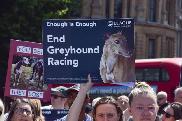 July 25, 2026, London, England, United Kingdom: Protesters pass through Central London during a march calling for an end to dog racing. The march dubbed Century of Suffering marks 100 years of greyhound racing in the UK. London United Kingdom - ZUMAv130 20260725_zip_v130_071 Copyright: xVukxValcicx
