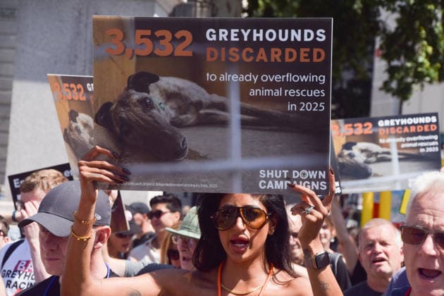 July 25, 2026, London, England, United Kingdom: Protesters pass through Central London during a march calling for an end to dog racing. The march dubbed Century of Suffering marks 100 years of greyhound racing in the UK. London United Kingdom  - ZUMAv130 20260725_zip_v130_077 Copyright: xVukxValcicx
