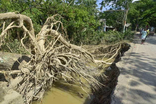 Aftermath of the flood in India s Sivasagar SIVASAGAR,INDIA-JULY 25: A tree uprooted by powerful floodwaters lies across the roadside, with its exposed roots and damaged road showing the extent of flood destruction in Sivasagar, Assam, India on Saturday, July 25, 2026. Hafiz Ahmed Anadolu Sivasagar India. Editorial use only. Please get in touch for any other usage.  Copyright: x2026xAnadoluxHafizxAhmedx