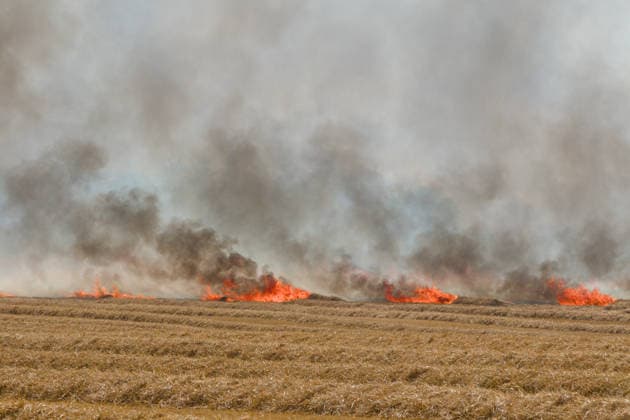 25.07.2026 Feldbrand bei Wadendorf Zörbig Anhalt-Bitterfeld Sachen-Anhalt Erster Feldbrand zwischen Wadendorf und Salzfurtkapelle. Das Feld steht in Flammen. Zörbig Sachsen-Anhalt Deutschland *** July 25, 2026 Field Fire Near Wadendorf, Zörbig, Anhalt-Bitterfeld, Saxony-Anhalt First Field Fire Between Wadendorf and Salzfurtkapelle The Field Is Ablaze Zörbig, Saxony-Anhalt, Germany