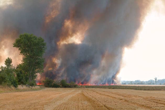 News Bilder des Tages 25.07.2026 Feldbrand bei Wadendorf Zörbig Anhalt-Bitterfeld Sachen-Anhalt Zweiter Feldbrand zwischen Wadendorf und Löberitz. Ein Feld steht in Flammen. Zörbig Sachsen-Anhalt Deutschland *** July 25, 2026 Field fire near Wadendorf, Zörbig, Anhalt-Bitterfeld, Saxony-Anhalt Second field fire between Wadendorf and Löberitz A field is ablaze Zörbig, Saxony-Anhalt, Germany