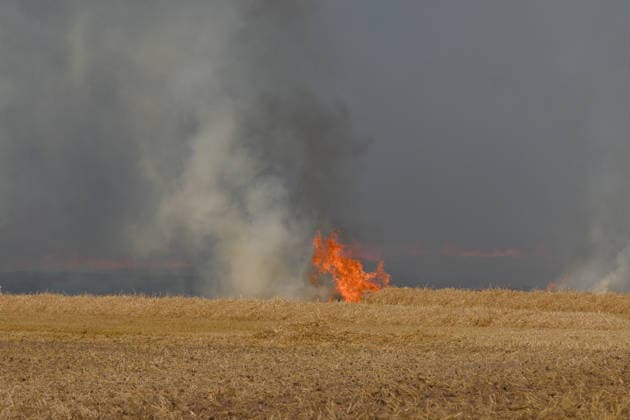 25.07.2026 Feldbrand bei Wadendorf Zörbig Anhalt-Bitterfeld Sachen-Anhalt Erster Feldbrand zwischen Wadendorf und Salzfurtkapelle. Das Feld steht in Flammen. Zörbig Sachsen-Anhalt Deutschland *** July 25, 2026 Field Fire Near Wadendorf, Zörbig, Anhalt-Bitterfeld, Saxony-Anhalt First Field Fire Between Wadendorf and Salzfurtkapelle The Field Is Ablaze Zörbig, Saxony-Anhalt, Germany