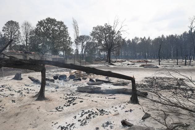 News Bilder des Tages RECORD DATE NOT STATED Fires in Gironde, Lège PHOTOPQR SUD OUEST Photo by Fabien Cottereau Lège Fires in Gironde, Sainte-Hélène, Lacanau On the D106 road leading to Lège, the landscape is apocalyptic; numerous homes have been ravaged by the fire. Fires in southwestern France on July 25, 2026. On the D106 road leading to Lège, the landscape is apocalyptic; many homes have been devastated by the fire. Local Caption Lège, Gironde, France  Copyright: xPHOTOPQR SUDxOUEST MAXPPPxPhotoxFabienxCottereaux 20260725SDO1231 20260725SDO1231