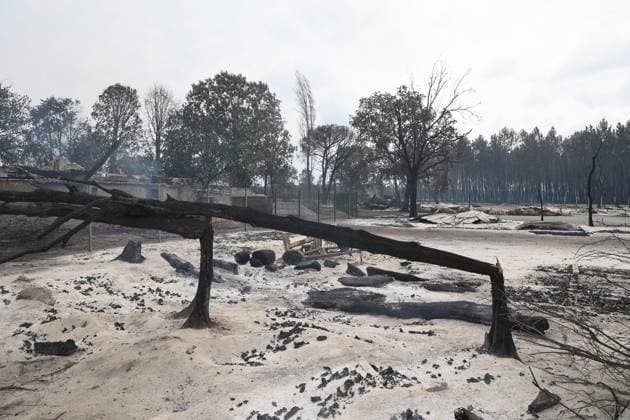 RECORD DATE NOT STATED Fires in Gironde, Lège PHOTOPQR SUD OUEST Photo by Fabien Cottereau Lège Fires in Gironde, Sainte-Hélène, Lacanau On the D106 road leading to Lège, the landscape is apocalyptic; numerous homes have been ravaged by the fire. Fires in southwestern France on July 25, 2026. On the D106 road leading to Lège, the landscape is apocalyptic; many homes have been devastated by the fire. Local Caption Lège, Gironde, France  Copyright: xPHOTOPQR SUDxOUEST MAXPPPxPhotoxFabienxCottereaux 20260725SDO1234 20260725SDO1234
