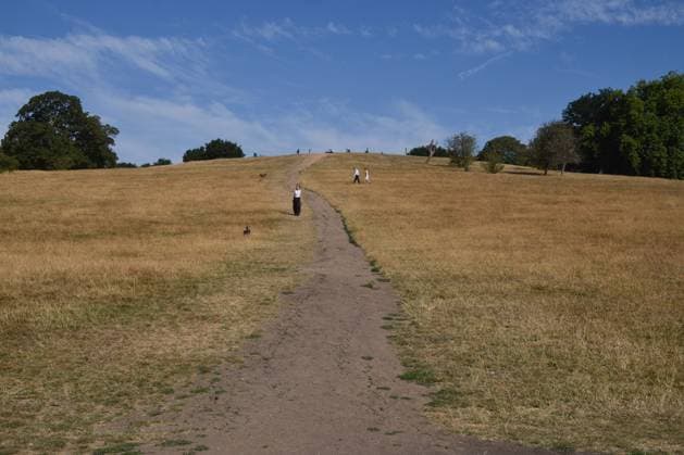 July 25, 2026, London, United Kingdom: People walk along a very dry Primrose Hill..Many areas have experienced extremely dry conditions following record-breaking heatwaves in the UK. London United Kingdom - ZUMAs197 20260725_aaa_s197_138 Copyright: xVukxValcicx
