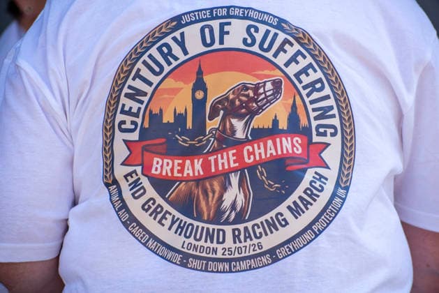 Demonstration against Greyhound race in London, UK - 25 Jul 2026 An activist wears a t-shirt which demands the Greyhound race banning during the demonstration. Animal rights activists gathered outside of the Greyhound Board of Great Britain (GBGB) headquarters near the St Paul s Cathedral. The Greyhound Board of Great Britain (GBGB) serves as the governing and regulatory body for licensed greyhound racing in England because it was banned previously in Wales and Scotland. The protesters demand from the UK Government to ban the Greyhound racing immediately because 161 dog died during and after the race, just in 2025. London United Kingdom Copyright: xKrisztianxElekx xSOPAxImagesx SSS_20260725_GREYHOUND_DEMO_0011005001