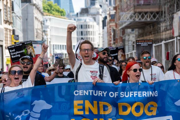 Demonstration against Greyhound race in London, UK - 25 Jul 2026 Protesters hold a banner and chant slogans during a protest march. Animal rights activists gathered outside of the Greyhound Board of Great Britain (GBGB) headquarters near the St Paul s Cathedral. The Greyhound Board of Great Britain (GBGB) serves as the governing and regulatory body for licensed greyhound racing in England because it was banned previously in Wales and Scotland. The protesters demand from the UK Government to ban the Greyhound racing immediately because 161 dog died during and after the race, just in 2025. London United Kingdom Copyright: xKrisztianxElekx xSOPAxImagesx SSS_20260725_GREYHOUND_DEMO_0011005009