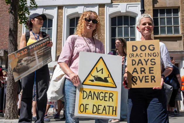 Demonstration against Greyhound race in London, UK - 25 Jul 2026 Animal rights activists pose for a photo with their placards outside the headquarters of the Greyhound Board of Great Britain (GBGB) during the demonstration. Animal rights activists gathered outside of the Greyhound Board of Great Britain (GBGB) headquarters near the St Paul s Cathedral. The Greyhound Board of Great Britain (GBGB) serves as the governing and regulatory body for licensed greyhound racing in England because it was banned previously in Wales and Scotland. The protesters demand from the UK Government to ban the Greyhound racing immediately because 161 dog died during and after the race, just in 2025. London United Kingdom Copyright: xKrisztianxElekx xSOPAxImagesx SSS_20260725_GREYHOUND_DEMO_0011005045