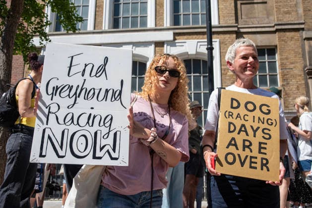Demonstration against Greyhound race in London, UK - 25 Jul 2026 Animal rights activists pose for a photo with their placards outside the headquarters of the Greyhound Board of Great Britain (GBGB) during the demonstration. Animal rights activists gathered outside of the Greyhound Board of Great Britain (GBGB) headquarters near the St Paul s Cathedral. The Greyhound Board of Great Britain (GBGB) serves as the governing and regulatory body for licensed greyhound racing in England because it was banned previously in Wales and Scotland. The protesters demand from the UK Government to ban the Greyhound racing immediately because 161 dog died during and after the race, just in 2025. London United Kingdom Copyright: xKrisztianxElekx xSOPAxImagesx SSS_20260725_GREYHOUND_DEMO_0011005046