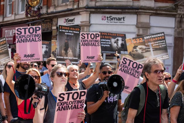 July 25, 2026, London, United Kingdom: Animal rights activists hold placards during a protest march. Animal rights activists gathered outside of the Greyhound Board of Great Britain (GBGB) headquarters near the St Paul s Cathedral. The Greyhound Board of Great Britain (GBGB) serves as the governing and regulatory body for licensed greyhound racing in England because it was banned previously in Wales and Scotland. The protesters demand from the UK Government to ban the Greyhound racing immediately because 161 dog died during and after the race, just in 2025. London United Kingdom - ZUMAs197 20260725_aaa_s197_373 Copyright: xKrisztianxElekx