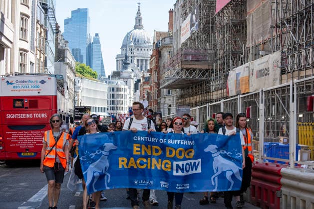 July 25, 2026, London, United Kingdom: Animal rights activists hold a banner during a protest march. Animal rights activists gathered outside of the Greyhound Board of Great Britain (GBGB) headquarters near the St Paul s Cathedral. The Greyhound Board of Great Britain (GBGB) serves as the governing and regulatory body for licensed greyhound racing in England because it was banned previously in Wales and Scotland. The protesters demand from the UK Government to ban the Greyhound racing immediately because 161 dog died during and after the race, just in 2025. London United Kingdom - ZUMAs197 20260725_aaa_s197_389 Copyright: xKrisztianxElekx