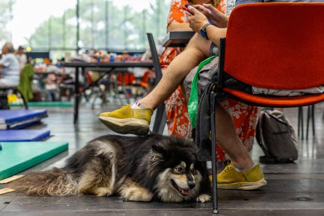 Wildfire evacuees shelter at Bordeaux Exhibition Centre - Bordeaux People evacuated because of the Gironde wildfires rest on emergency camp beds inside the Bordeaux Exhibition Centre (Parc des Expositions) which has been converted into a temporary shelter for residents and tourists in Bordeaux, France, on July 25, 2026. Photo by Margot Le Gonidec ABACAPRESS.COM Bordeaux France  Copyright: xLexGonidecxMargot ABACAx