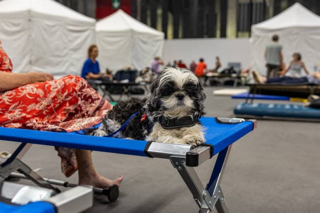 Wildfire evacuees shelter at Bordeaux Exhibition Centre - Bordeaux People evacuated because of the Gironde wildfires rest on emergency camp beds inside the Bordeaux Exhibition Centre (Parc des Expositions) which has been converted into a temporary shelter for residents and tourists in Bordeaux, France, on July 25, 2026. Photo by Margot Le Gonidec ABACAPRESS.COM Bordeaux France  Copyright: xLexGonidecxMargot ABACAx