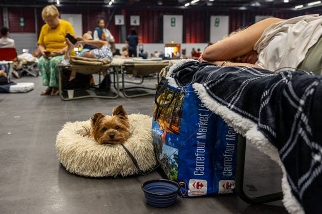 Wildfire evacuees shelter at Bordeaux Exhibition Centre - Bordeaux People evacuated because of the Gironde wildfires rest on emergency camp beds inside the Bordeaux Exhibition Centre (Parc des Expositions) which has been converted into a temporary shelter for residents and tourists in Bordeaux, France, on July 25, 2026. Photo by Margot Le Gonidec ABACAPRESS.COM Bordeaux France  Copyright: xLexGonidecxMargot ABACAx
