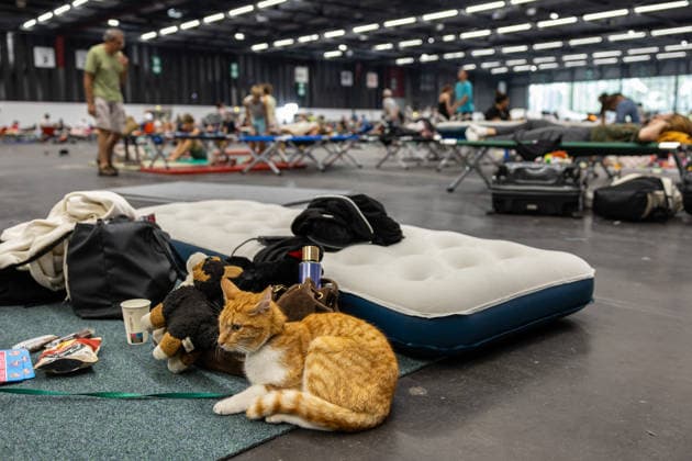Wildfire evacuees shelter at Bordeaux Exhibition Centre - Bordeaux People evacuated because of the Gironde wildfires rest on emergency camp beds inside the Bordeaux Exhibition Centre (Parc des Expositions) which has been converted into a temporary shelter for residents and tourists in Bordeaux, France, on July 25, 2026. Photo by Margot Le Gonidec ABACAPRESS.COM Bordeaux France  Copyright: xLexGonidecxMargot ABACAx