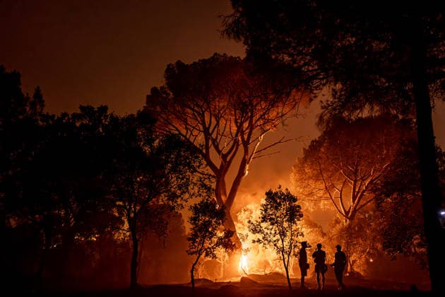 Evacuation underway as wildfires threaten towns in Spain LA ADRADA, AVILA, SPAIN – JULY 26: Flames engulf trees as a wildfire burns during overnight firefighting operations in La Adrada, in Spain s Avila province, on July 26, 2026. Fire crews continued battling the blaze through the night as it spread across forested areas, threatening nearby communities. Diego Radames Anadolu Avila Spain. Editorial use only. Please get in touch for any other usage.  Copyright: x2026xAnadoluxDiegoxRadamesx