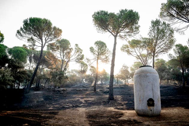 The wildfire in the western mountains of Madrid reaches Cadalso de los Vidrios Effects of the wildfire in the western mountains of Madrid, on the La Granjilla estate, on July 26, 2026, in Cadalso de los Vidrios, Madrid, Spain. The fire forced the evacuation of Cadalso de los Vidrios and Rozas de Puerto Real on Saturday, July 25. JULY 26, 2026 FOREST FIRE IN Cadalso de los Vidrios, Madrid. Cadalso de los Vidrios, Madrid, Spain  Copyright: xA.xPÃ rezxMecax 7688410