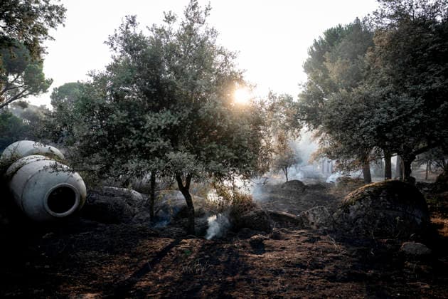 The wildfire in the western mountains of Madrid reaches Cadalso de los Vidrios Effects of the wildfire in the western mountains of Madrid, on the La Granjilla estate, on July 26, 2026, in Cadalso de los Vidrios, Madrid, Spain. The fire forced the evacuation of Cadalso de los Vidrios and Rozas de Puerto Real on Saturday, July 25. JULY 26, 2026 FOREST FIRE IN Cadalso de los Vidrios, Madrid. Cadalso de los Vidrios, Madrid, Spain  Copyright: xA.xPÃ rezxMecax 7688414