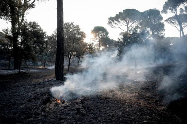 The wildfire in the western mountains of Madrid reaches Cadalso de los Vidrios Effects of the wildfire in the western mountains of Madrid, on the La Granjilla estate, on July 26, 2026, in Cadalso de los Vidrios, Madrid, Spain. The fire forced the evacuation of Cadalso de los Vidrios and Rozas de Puerto Real on Saturday, July 25. JULY 26, 2026 FOREST FIRE IN Cadalso de los Vidrios, Madrid. Cadalso de los Vidrios, Madrid, Spain  Copyright: xA.xPÃ rezxMecax 7688416