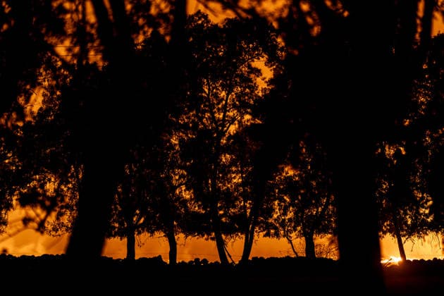 Evacuation underway as wildfires threaten towns in Spain LA ADRADA, AVILA, SPAIN – JULY 26: Flames engulf trees in the town of La Adrada in the province of Avila, Spain, on July 26, 2026. Firefighting operations continued overnight as crews worked to contain the blaze threatening nearby communities. Diego Radames Anadolu Avila Spain. Editorial use only. Please get in touch for any other usage.  Copyright: x2026xAnadoluxDiegoxRadamesx