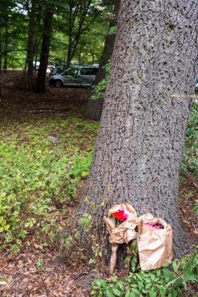 Blumen stehen an einem Baum in der Naehe des Anschlagsortes auf den CSD im Berliner Tiergarten (Foto vom 26.07.2026). Nach der Todesfahrt beim Berliner Christopher Street Day (CSD) am Samstagabend geht die Polizei von einem islamistisch motivierten Anschlag aus und fahndet nach einem polizeibekannten Tatverdaechtigen. Politik und Gesellschaft sind entsetzt ueber die Gewalttat. Bei dem Anschlag wurden nach Polizeiangaben am Samstagabend gegen 22 Uhr im Berliner Tiergarten mehrere Menschen durch ein fahrendes Fahrzeug und mehrere Personen durch Stichwerkzeuge verletzt. Ein Mensch sei dabei uns Leben gekommen, 16 weitere seien verletzt worden. (Siehe epd-Meldung vom 26.07.2026) EDITORIAL USE ONLY *** Flowers are placed at the base of a tree ne Copyright: epd-bild RolfxZoellner epd-CSD_Anschlag9-kopieren-kopieren