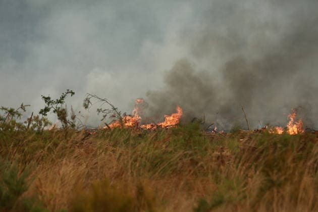 Wildfire continues to spread in France’s Gironde department GIRONDE, FRANCE - JULY 26: Firefighting operations continue as a major wildfire spreads across forest areas near Audenge in the Gironde department of southwestern France on July 26, 2026. Mohamad Salaheldin Abdelghani Alsayed Anadolu Gironde France. Editorial use only. Please get in touch for any other usage.  Copyright: x2026xAnadoluxMohamadxSalaheldinxAbdelghanixAlsayedx