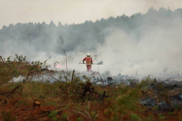 Wildfire continues to spread in France’s Gironde department GIRONDE, FRANCE - JULY 26: Firefighting operations continue as a major wildfire spreads across forest areas near Audenge in the Gironde department of southwestern France on July 26, 2026. Mohamad Salaheldin Abdelghani Alsayed Anadolu Gironde France. Editorial use only. Please get in touch for any other usage.  Copyright: x2026xAnadoluxMohamadxSalaheldinxAbdelghanixAlsayedx