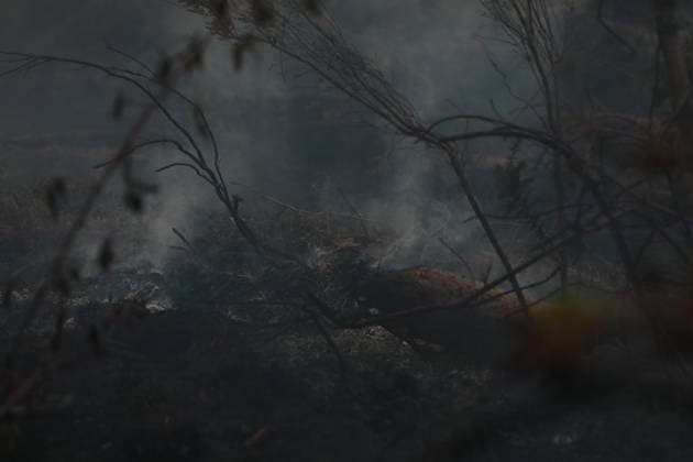 Wildfire continues to spread in France’s Gironde department GIRONDE, FRANCE - JULY 26: Firefighting operations continue as a major wildfire spreads across forest areas near Audenge in the Gironde department of southwestern France on July 26, 2026. Mohamad Salaheldin Abdelghani Alsayed Anadolu Gironde France. Editorial use only. Please get in touch for any other usage.  Copyright: x2026xAnadoluxMohamadxSalaheldinxAbdelghanixAlsayedx