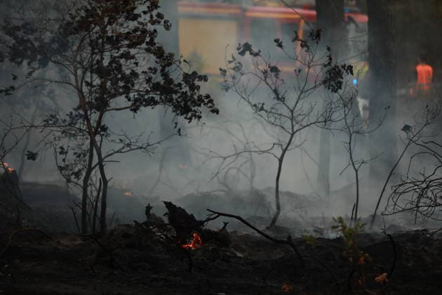 Wildfire continues to spread in France’s Gironde department GIRONDE, FRANCE - JULY 26: Firefighting operations continue as a major wildfire spreads across forest areas near Audenge in the Gironde department of southwestern France on July 26, 2026. Mohamad Salaheldin Abdelghani Alsayed Anadolu Gironde France. Editorial use only. Please get in touch for any other usage.  Copyright: x2026xAnadoluxMohamadxSalaheldinxAbdelghanixAlsayedx