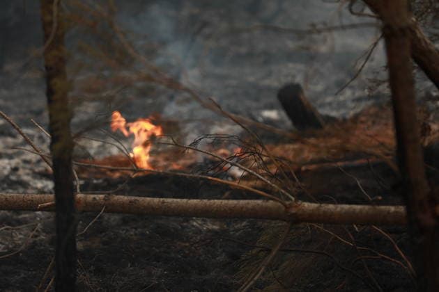 Wildfire continues to spread in France’s Gironde department GIRONDE, FRANCE - JULY 26: Firefighting operations continue as a major wildfire spreads across forest areas near Audenge in the Gironde department of southwestern France on July 26, 2026. Mohamad Salaheldin Abdelghani Alsayed Anadolu Gironde France. Editorial use only. Please get in touch for any other usage.  Copyright: x2026xAnadoluxMohamadxSalaheldinxAbdelghanixAlsayedx