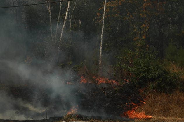 Wildfire continues to spread in France’s Gironde department GIRONDE, FRANCE - JULY 26: Firefighting operations continue as a major wildfire spreads across forest areas near Audenge in the Gironde department of southwestern France on July 26, 2026. Mohamad Salaheldin Abdelghani Alsayed Anadolu Gironde France. Editorial use only. Please get in touch for any other usage.  Copyright: x2026xAnadoluxMohamadxSalaheldinxAbdelghanixAlsayedx