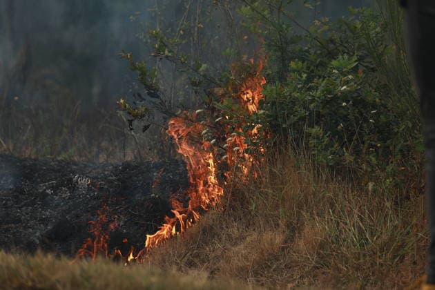 Wildfire continues to spread in France’s Gironde department GIRONDE, FRANCE - JULY 26: Firefighting operations continue as a major wildfire spreads across forest areas near Audenge in the Gironde department of southwestern France on July 26, 2026. Mohamad Salaheldin Abdelghani Alsayed Anadolu Gironde France. Editorial use only. Please get in touch for any other usage.  Copyright: x2026xAnadoluxMohamadxSalaheldinxAbdelghanixAlsayedx