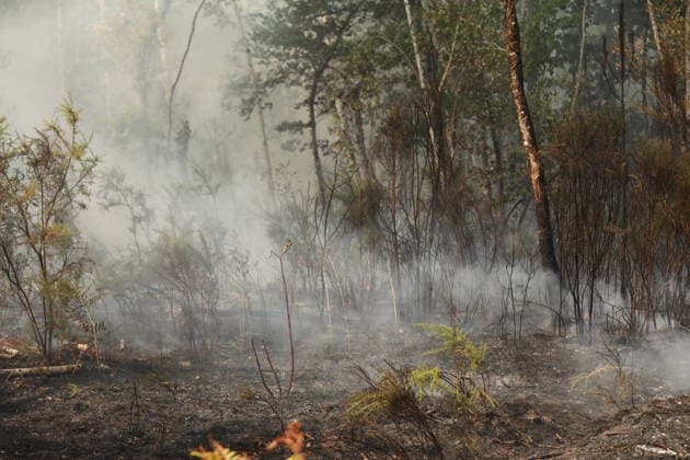 Wildfire continues to spread in France’s Gironde department GIRONDE, FRANCE - JULY 26: Firefighting operations continue as a major wildfire spreads across forest areas near Audenge in the Gironde department of southwestern France on July 26, 2026. Mohamad Salaheldin Abdelghani Alsayed Anadolu Gironde France. Editorial use only. Please get in touch for any other usage.  Copyright: x2026xAnadoluxMohamadxSalaheldinxAbdelghanixAlsayedx