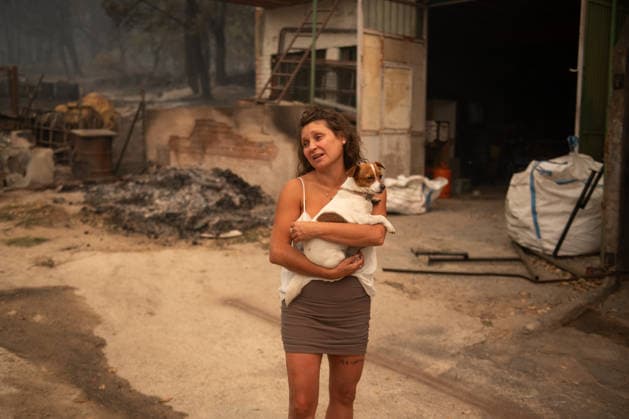The Tiétar Valley in Ávila Accounts for the Highest Number of Firefighting Operations Overnight A resident of Piedralaves after her father’s house burned down during the Burgohondo fire on July 26, 2026, in Piedralaves, Ávila, Castile and León, Spain. Lieutenant Colonel Alfonso Arribas, commander of the First Emergency Response Battalion of the Military Emergency Unit (UME), stated that the Tiétar Valley, in the province of Ávila, was the sector with the most activity overnight and noted that conditions this Sunday appear to be more favorable than yesterday’s, when efforts were focused on self-protection. Today we’ll be able to devote more effort to that direct attack, and it will give us more opportunities to reduce the intensity. JULY  Copyright: xFernandoxSanchezx 7688844