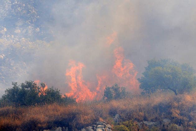 Firefighters battle wildfire near Italy s Palermo PALERMO, ITALY - JULY 26: Firefighter crews launched an aerial and ground response to contain a wildfire that broke out in scrubland near Torretta, outside Palermo on the island of Sicily, Italy on July 26, 2026. Fire engines and two firefighting aircraft were deployed as the blaze threatened nearby residential areas. Alberto Lo Bianco Anadolu Sicily Italy. Editorial use only. Please get in touch for any other usage.  Copyright: x2026xAnadoluxAlbertoxLoxBiancox