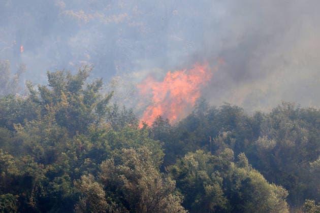 Firefighters battle wildfire near Italy s Palermo PALERMO, ITALY - JULY 26: Firefighter crews launched an aerial and ground response to contain a wildfire that broke out in scrubland near Torretta, outside Palermo on the island of Sicily, Italy on July 26, 2026. Fire engines and two firefighting aircraft were deployed as the blaze threatened nearby residential areas. Alberto Lo Bianco Anadolu Sicily Italy. Editorial use only. Please get in touch for any other usage.  Copyright: x2026xAnadoluxAlbertoxLoxBiancox